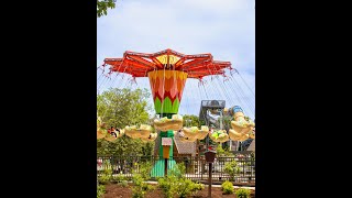 Visiting Kentucky Kingdom with Teens and Toddlers