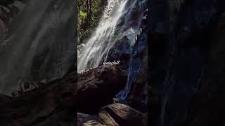 Chasing waterfalls and good vibes 💧 #waterfall #pachmarhihillstation #beefall