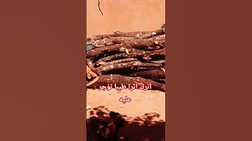 تلاوة #اكسبلور #لايك #تيك_توك #المصحف #ترند #يوتيوب #راحة_نفسية #دويتو @hasalaih #حالات_واتس
