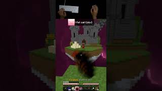 The BEST Bedwars Texture Pack - fat cat [16x]