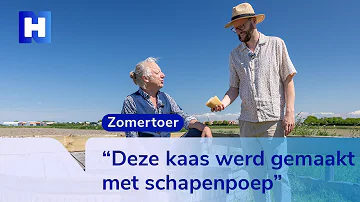 Zomertoer op het Noord-Hollandpad: Koen wandelt van De Cocksdorp naar Oudeschild