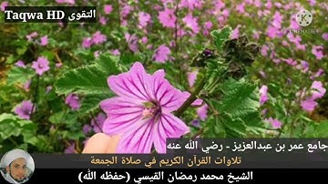 تلاوات القرآن الكريم في صلاة الجمعة |القارئ الشيخ محمد رمضان القيسي (حفظه ﷲ)
