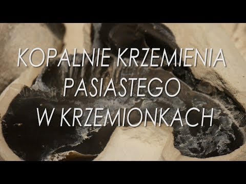 Kopalnie krzemienia pasiastego w Krzemionkach