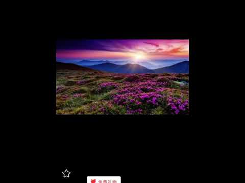夜風中 live by Coby Tom Conrad 譚日康（原唱 徐小鳳）歌詞版
