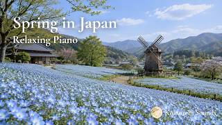 🌸 Spring in Japan | Peaceful Nemophila Fields & Japanese Countryside | Relaxing Piano Music