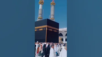تأملت والدنيا بها العجب والعجب 
