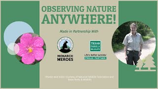 Observing Nature Anywhere With National Wildlife Federation