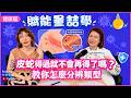 一起破解大家對皮蛇的常見迷思！【賦能量喆學PowerTalk Podcast】