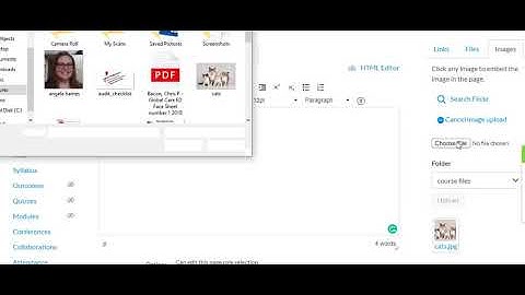 html editor in canvas 2