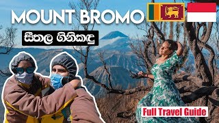 Mount Bromo සීතල ගිනිකඳු | Bali Travel Guide | TRAVEL VLOG #20.3 (English Subtitles)