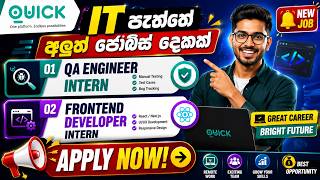 IT Jobs in Sri Lanka 2026  | QA Engineer & Frontend Developer Internships | Remote Jobs | Apply Now screenshot 4