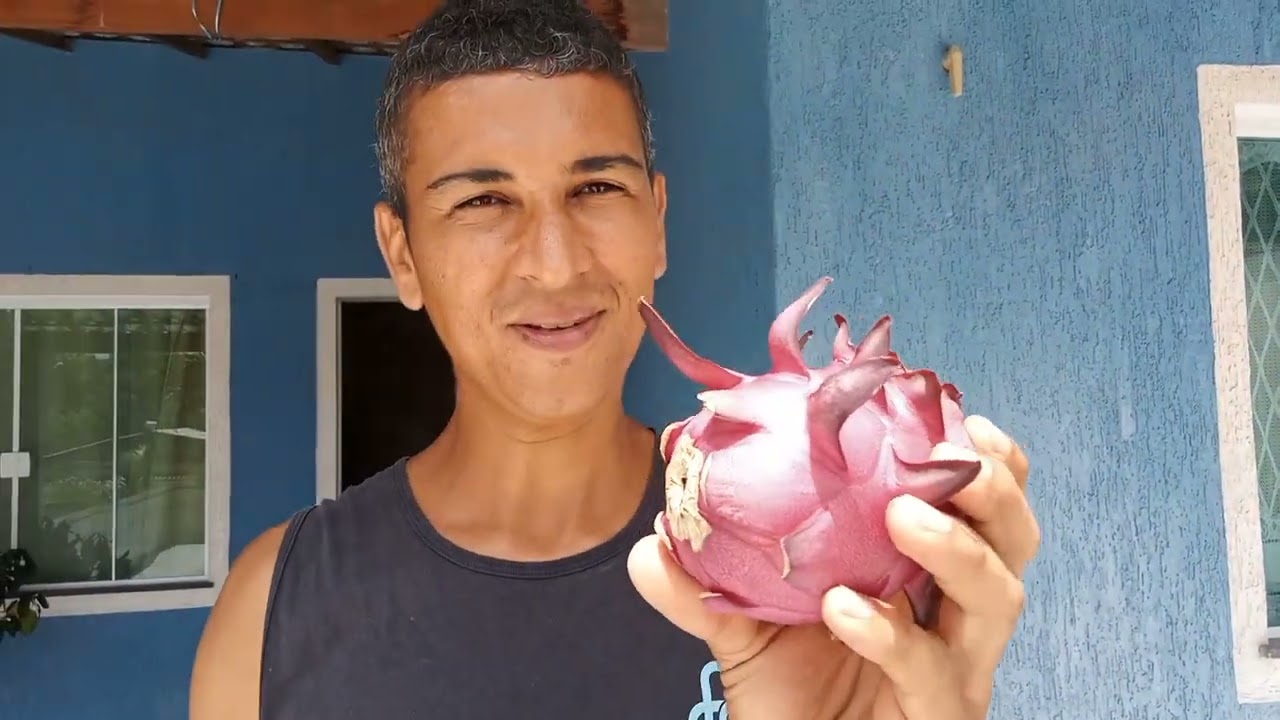 PITAYA BUNDA DE MACACO