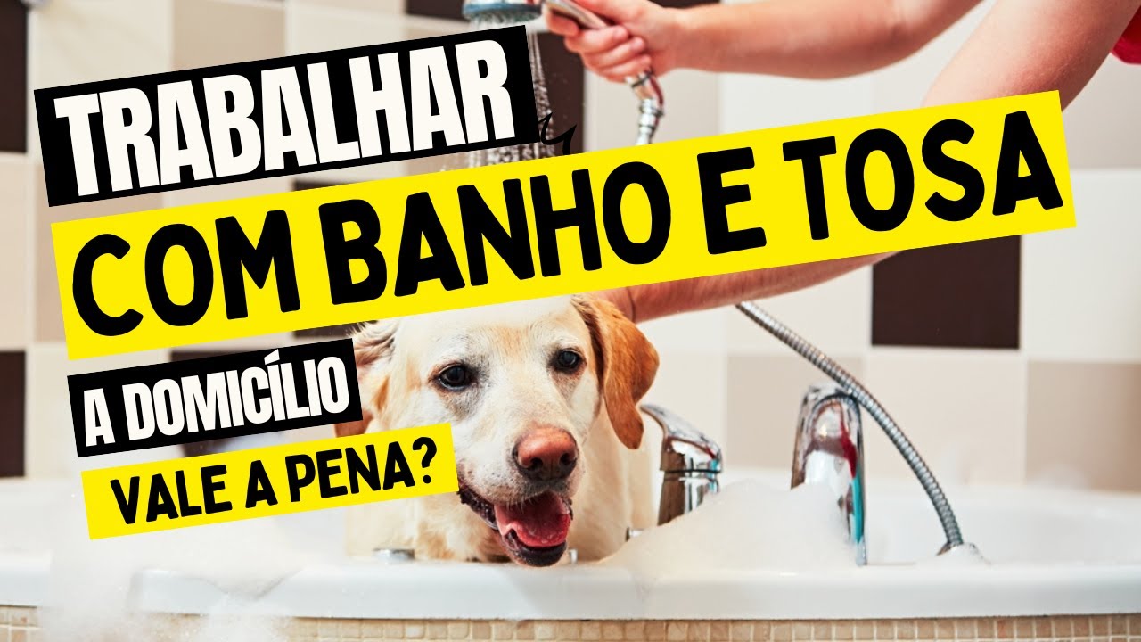 Trabalhar com banho e tosa a domicílio vale a pena? - YouTube
