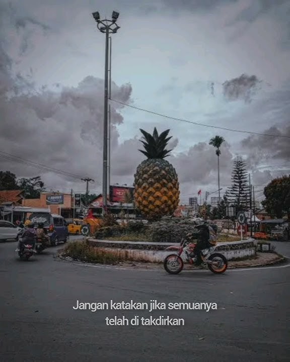 wish you were here - neck deep, lirik terjemahan