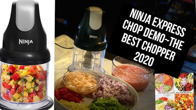 Ninja Express Chop Review! 