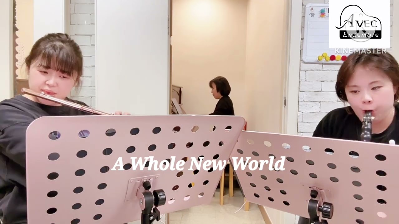 A whole new world __flute.clarinet.piano