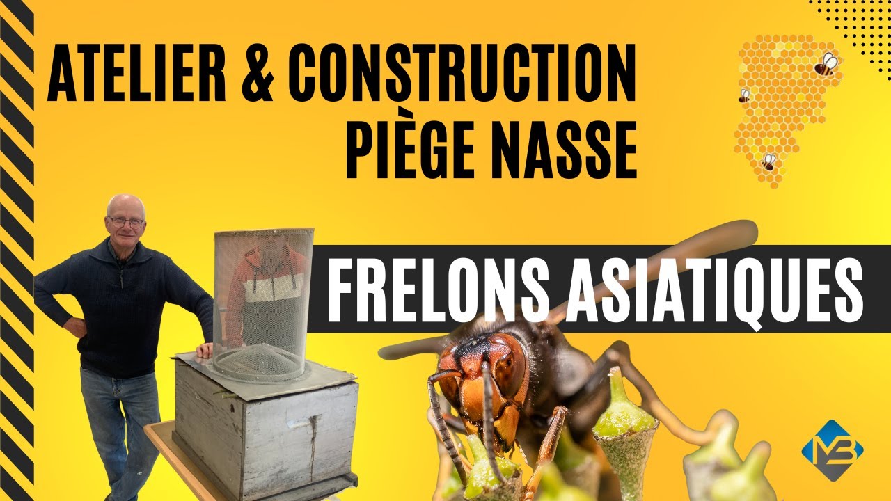 FABRIQUER UNE NASSE CONTRE LE FRELON ASIATIQUE