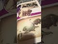 Reading An Old Dinosaur Book Part 1 Paleontology Dinosaur 