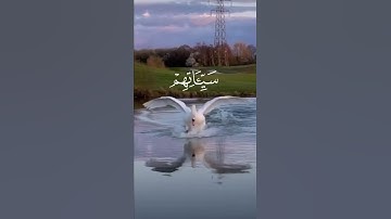 والذين امنوا وعلمو الصالحات لنكفرن عنهم سيئاته //// سورة العنكبوت # القارئ سعد الغامدي