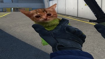 csgo jumps and kitties