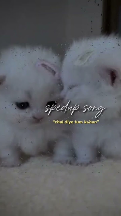 'Chal Diye Tum Kathan' 'And so you set out on your journey carrying dreams the world has yet to see