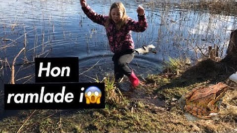 *hon ramlade i* går till grodorna