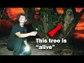 I investigated singapores dumping ground for evil spirits haunted kampong wak hassan