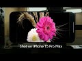 Shot on iPhone 15 Pro Max | 4K HDR Apple Log ProRes | Test &amp; Demo video