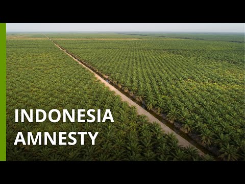 Indonesia Amnesty