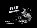 Miniature de la vidéo de la chanson Liberation (Breaks Mix)