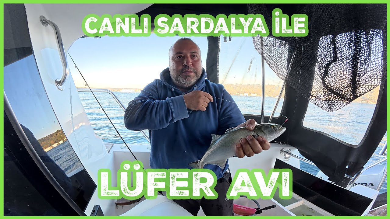 CANLI SARDALYA İLE BOĞAZDA LÜFER AVI..