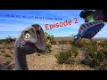 Dinosaur Revolution Parody Episode 2: He Broke His Leg While Dancing!