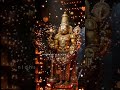 Tirupati Balaji 🙏 | Tirupati Song | Sri Nivasa Govinda 🙏#shorts #tirupatibalaji #srinivasa #status