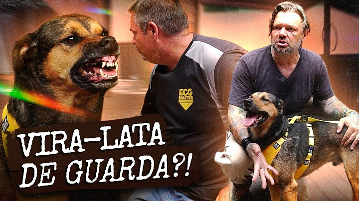 NÃO ACREDITO! NOSSO VIRA-LATAS É UMA MÁQUINA DE GUARDA? | A CASA DOS BICHOS