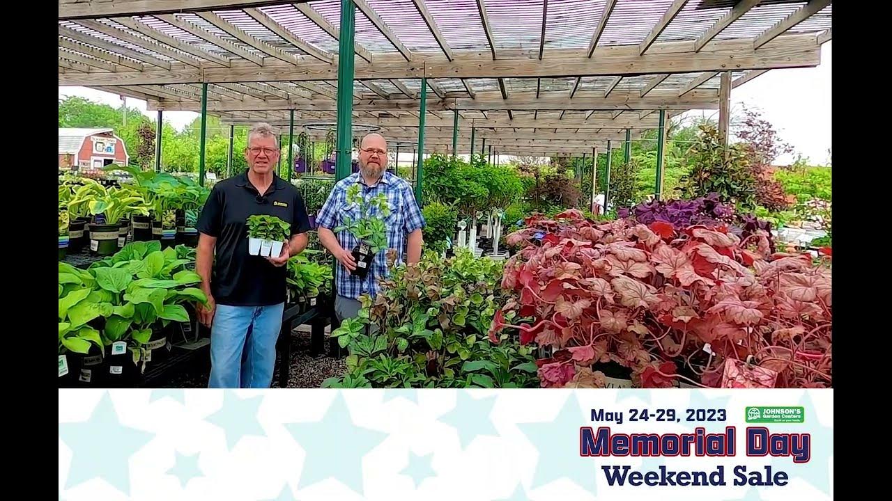 Memorial Weekend Plant Sale YouTube