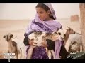 المرحوم الشيخ ول آبه في لبتيت طلعت ول كصري المرحوم الشيخ ول آبه في لبتيت طلعت ول كصري