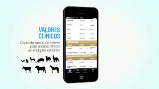 VetHelp Agrovet Market App   Video Demonstrativo screenshot 1