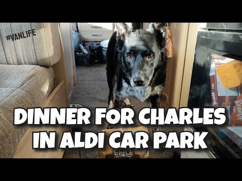 Dinner for Charles in Aldi Car Park | Doggo Dinner in Car Park #vanlife