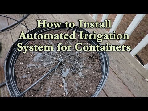 How to Install an Automated Irrigation System for Container Vegetables and Flowers