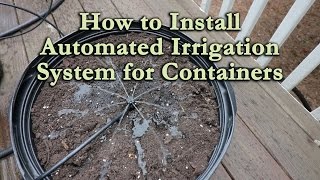 How to Install an Automated Irrigation System for Container Vegetables and Flowers