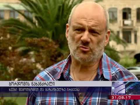 ხანძრის მიერ განადგურებული 752 ჰექტარი ბორჯომში