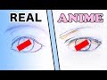 Japanese Pro vs. Amateur｜Anime Eyes!