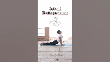 animal Inspired Yoga Asana #music #yogapractice #shortsvideo #yogalove #yogateacher