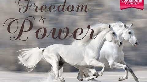 Beauty Script Font Download