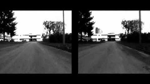 Visual servoing navigation using mutual information