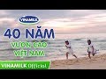 Vươn cao Việt Nam