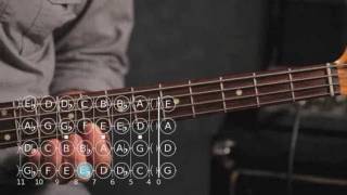 How to Play D ? / E Flat Minor Scale | Bass Guitar