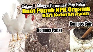 Buat Racikan Pupuk NPK ORGANIK Plus , Padat & Cair dari Kotoran Ayam Versi IRP by INFO RAGAM PERTANIAN 1,316 views 1 month ago 8 minutes, 30 seconds