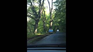 20121014 102号線 十和田湖から奥入瀬渓流館へ向かう途中