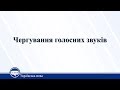 Чергування голосних звуків. 1 частина. Українська мова 10 клас